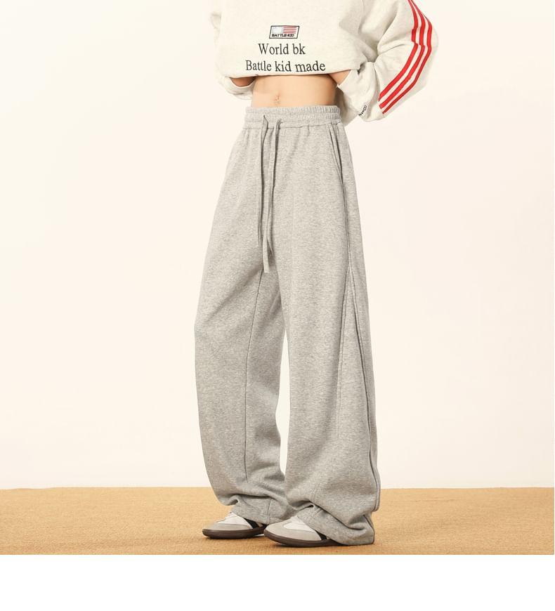 Drawstring Waist Plain Panel Straight Leg Sweatpants Product Image