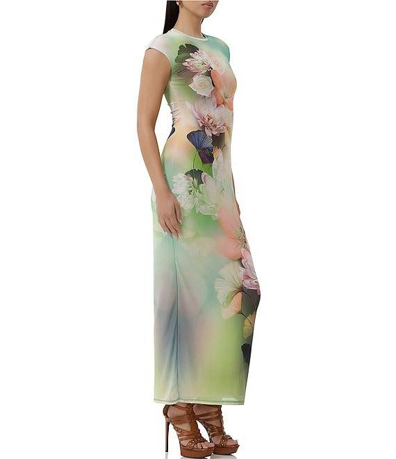 AFRM Cody Floral Placement Print Mesh Crew Neck Cap Sleeve Maxi Dress Product Image