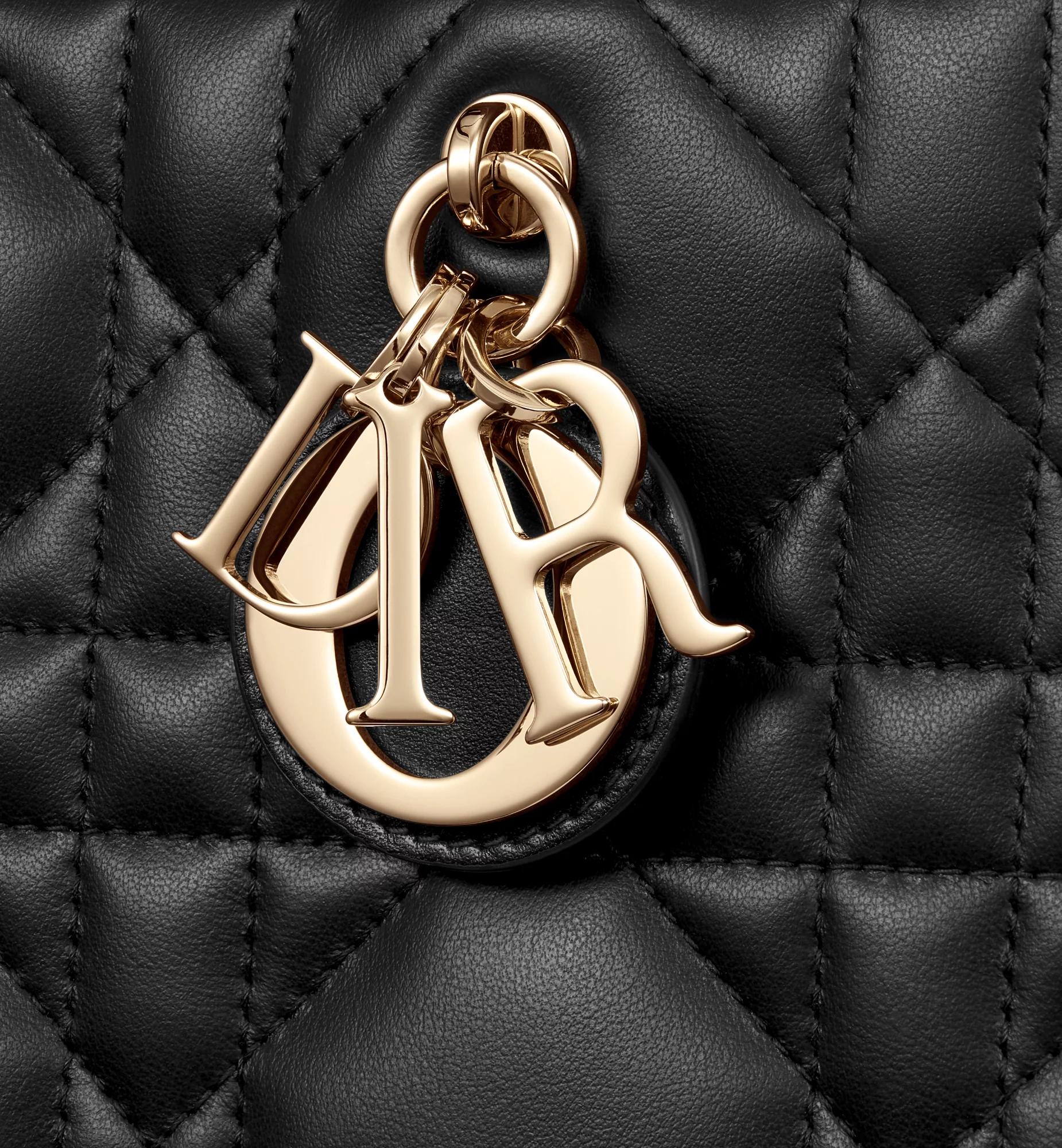 Small Dior Book Tote Product Image