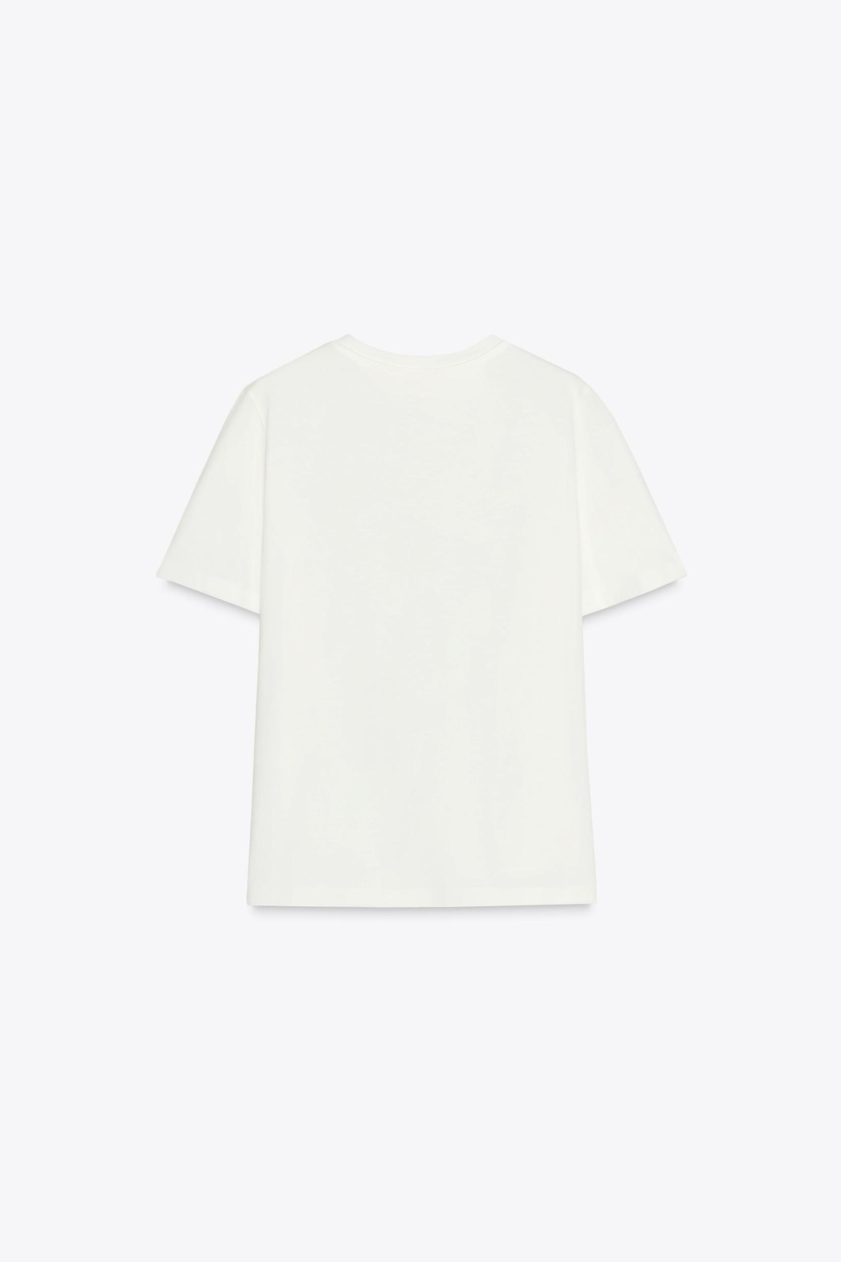 BROOCH T-SHIRT Product Image