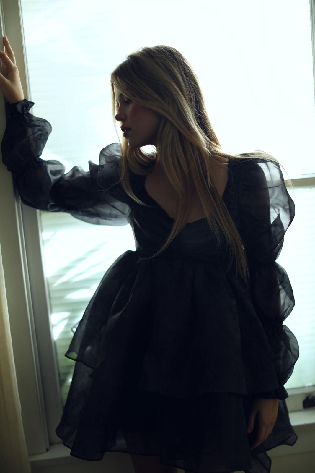 The Blackberry Moonlight Dress Product Image