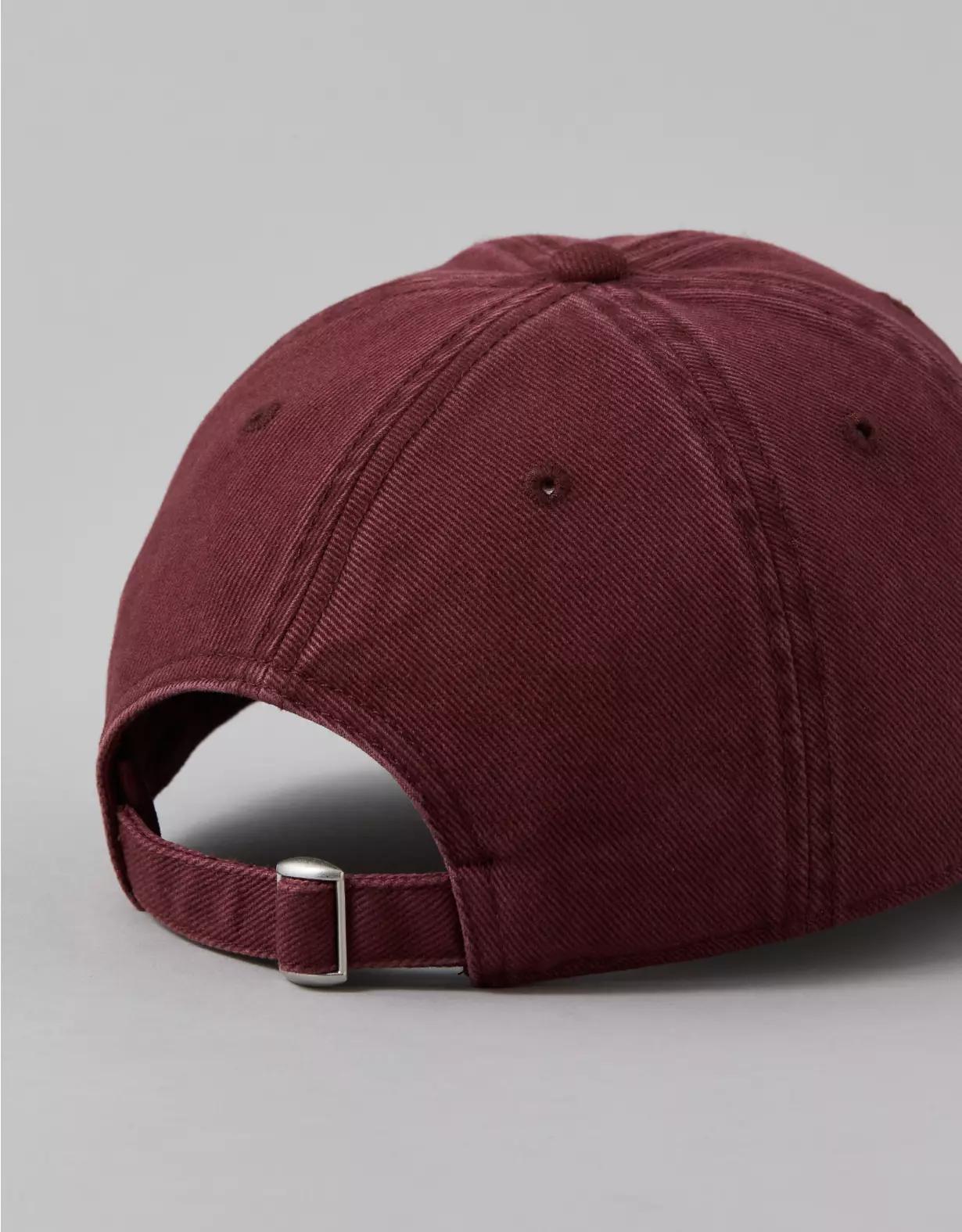 AE New York Leisure Club Baseball Hat Product Image