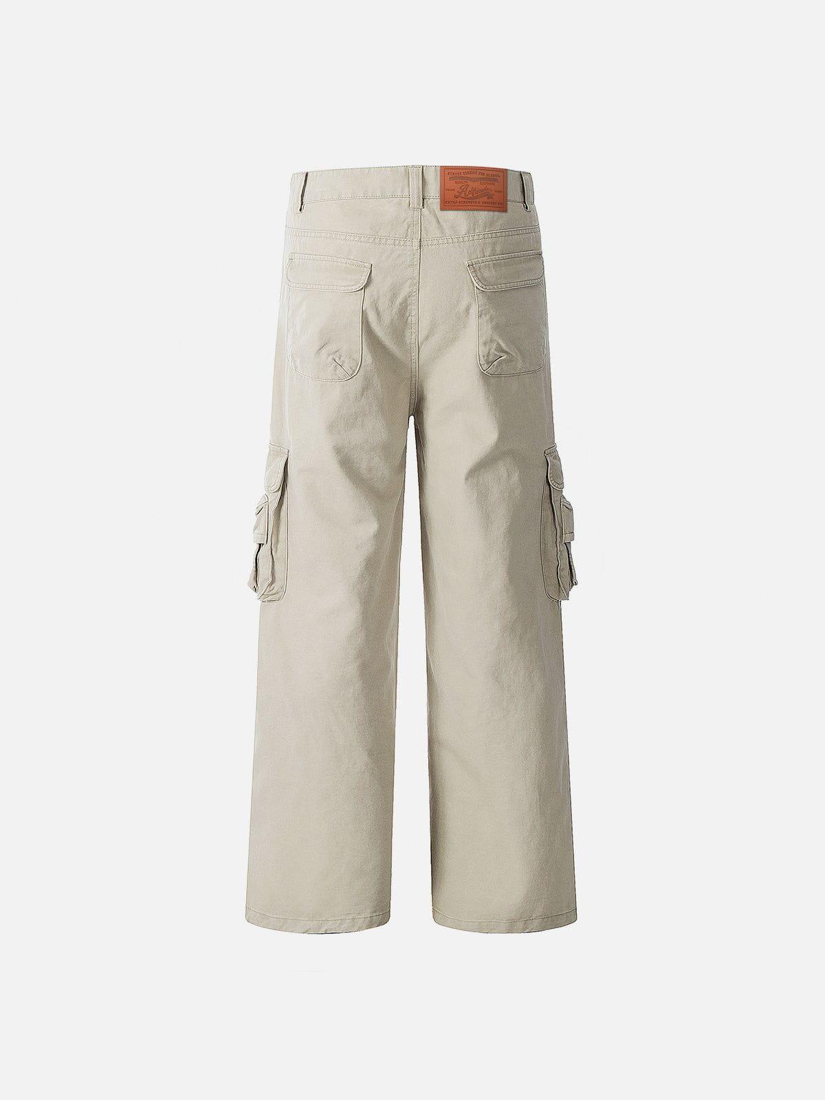 Aelfric Eden Pocket Wrinkle Pants Product Image