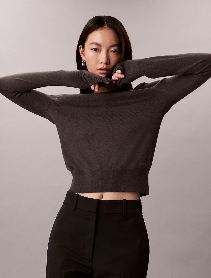 Extra Fine Merino Blend Crewneck Sweater Product Image