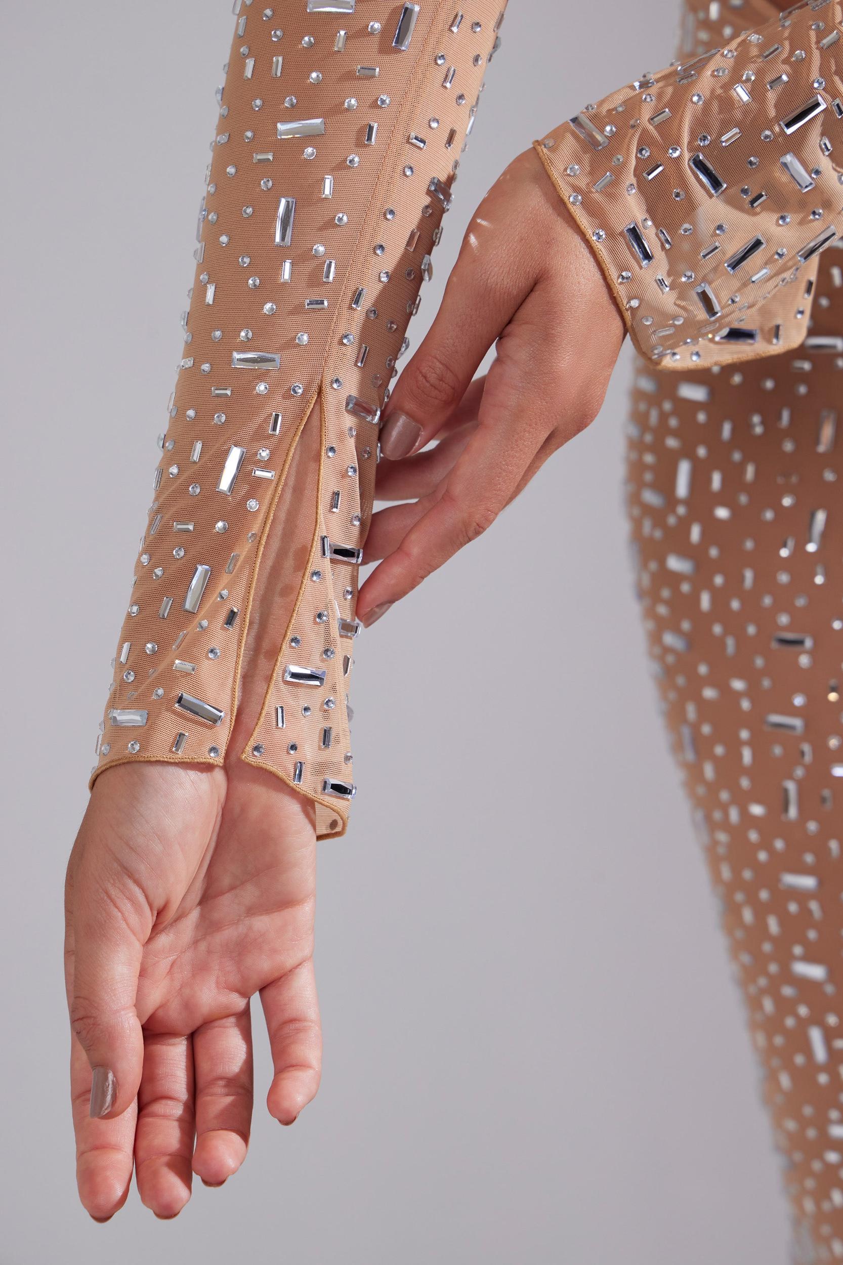 Sheer Embellished Long Sleeve Crop Top in Almond Product Image