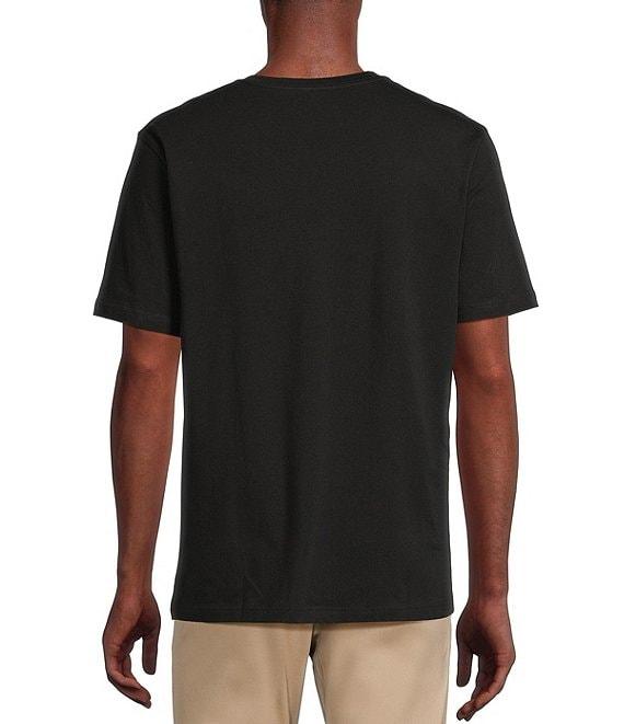 Cremieux Blue Label Jersey Knit Short Sleeve V-Neck T-Shirt Product Image