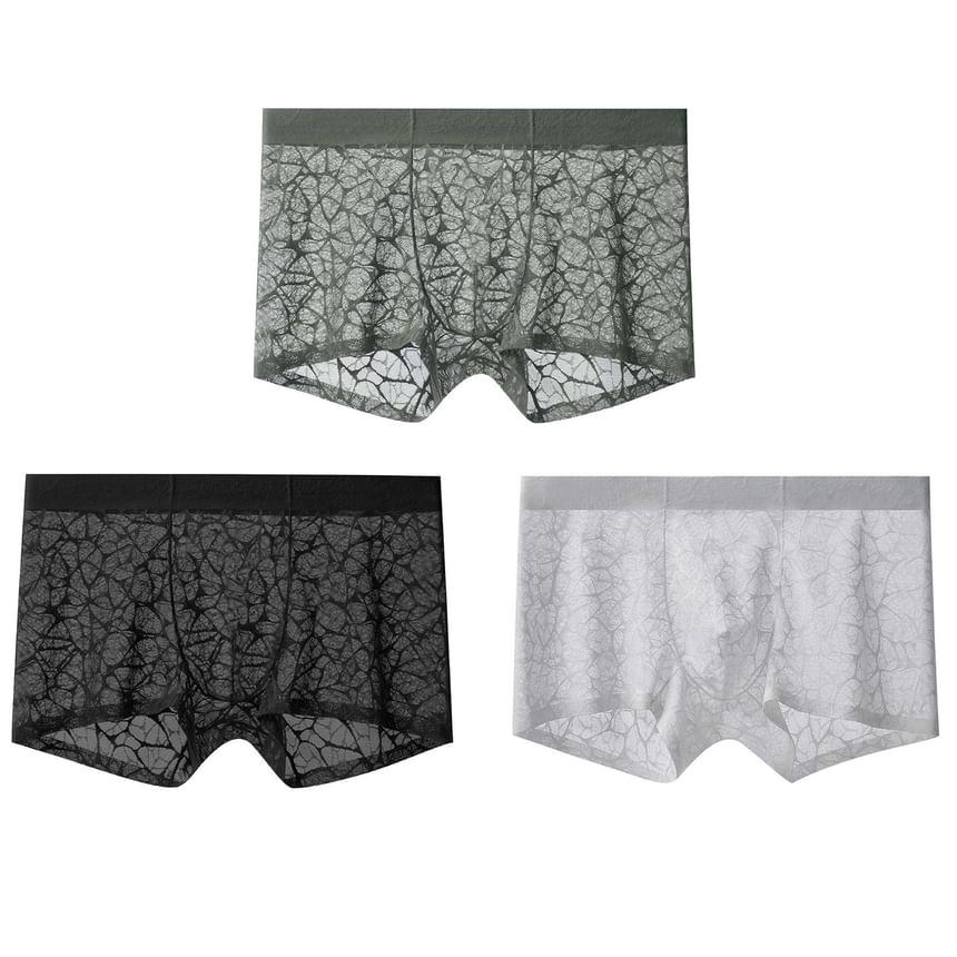 Lace Boxer Brief / Set Product Image