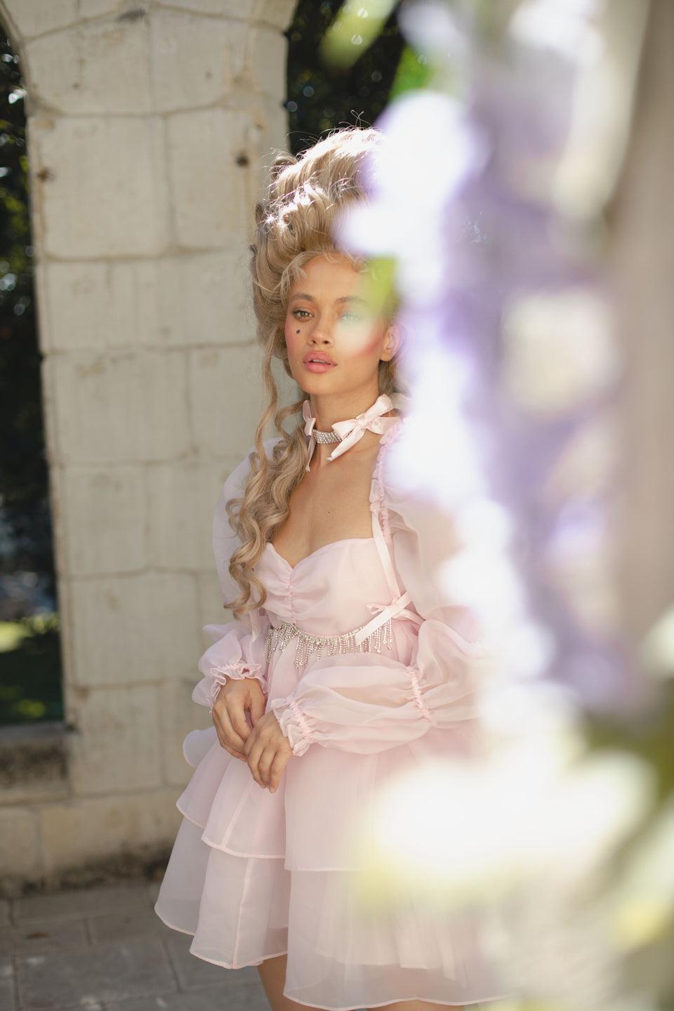 The Ballerina Moonlight Dress Product Image