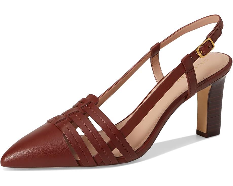 MSRP: $120(10% OFF) Product Image