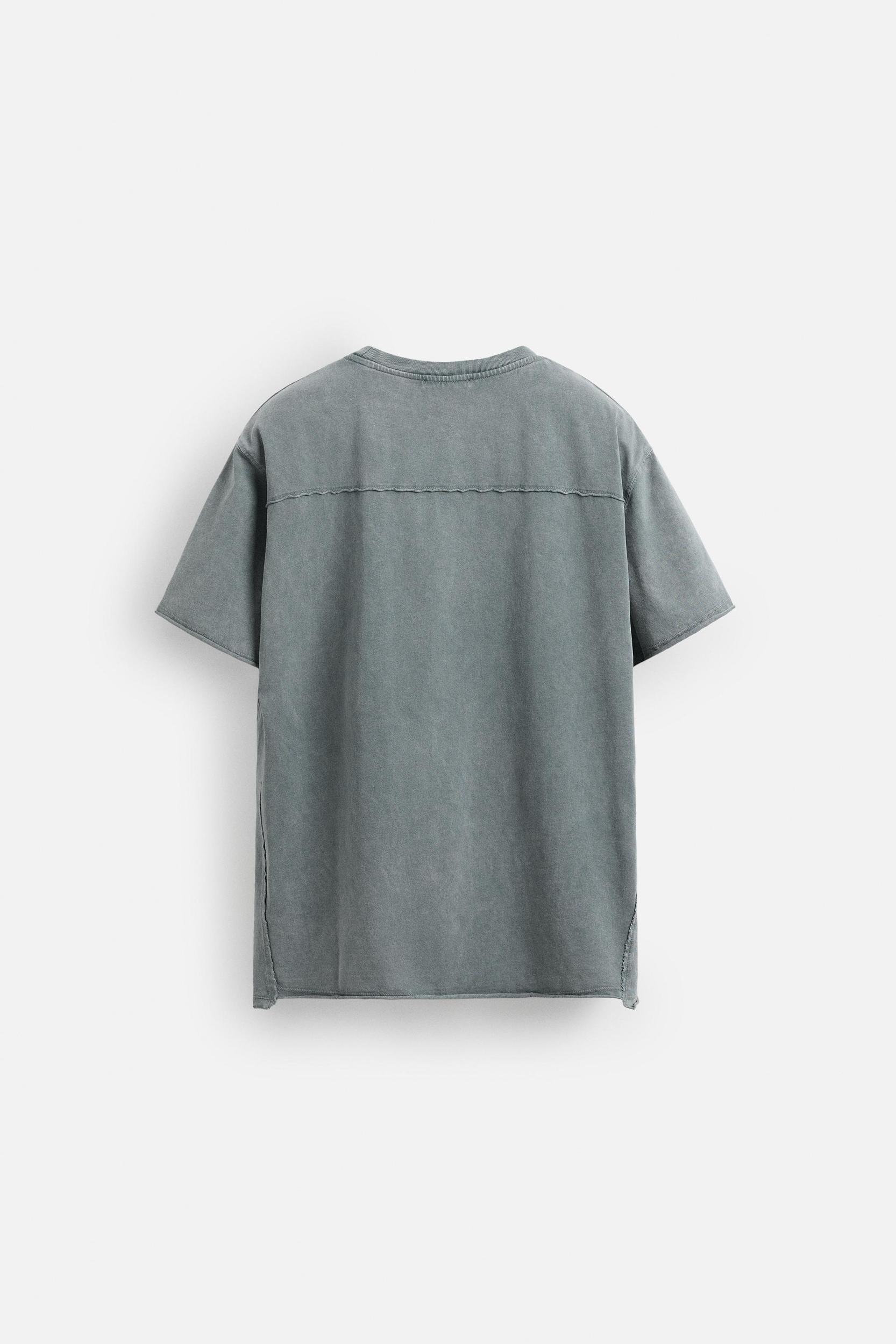 WASHED FLY PRINT T-SHIRT Product Image