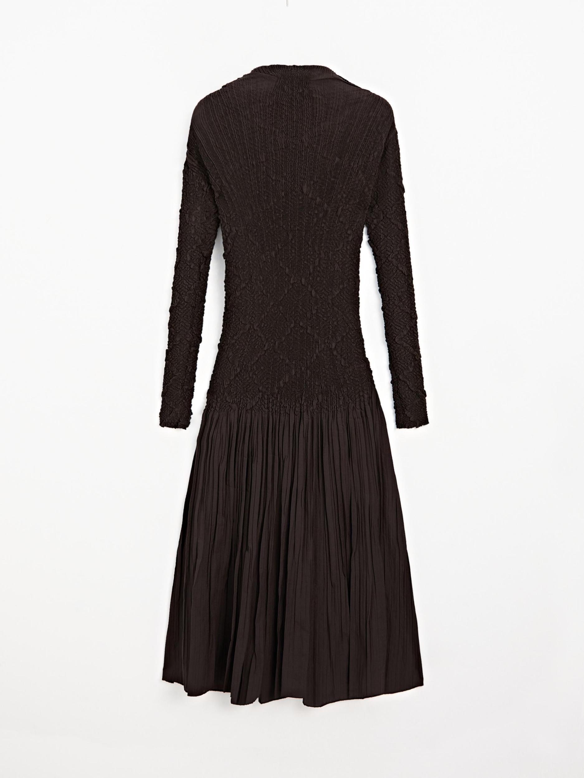 Long pleated stretch dress Product Image