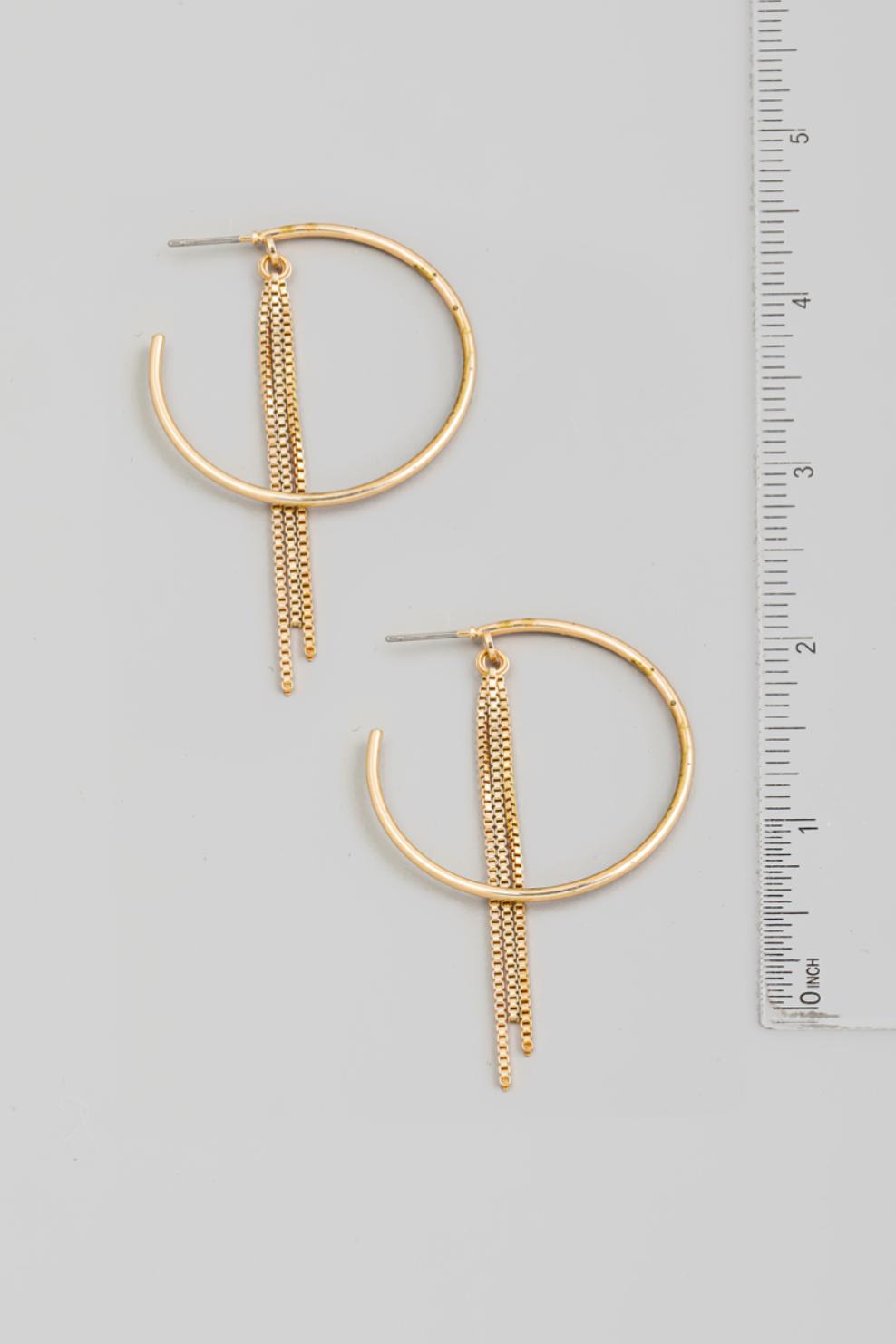 Box Chain And Hoop Earrings Product Image