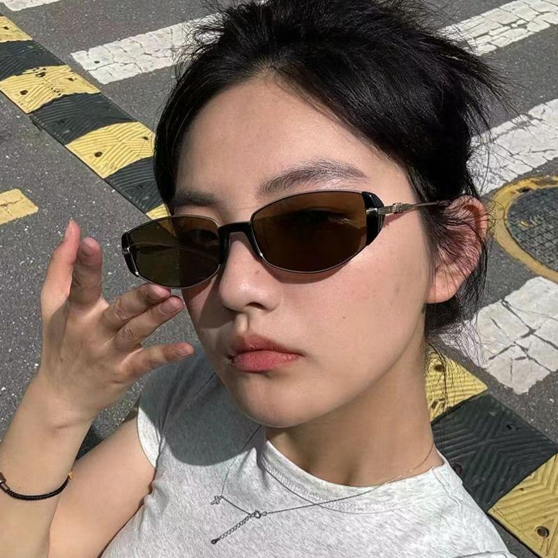 Metal Frame Sunglasses Product Image
