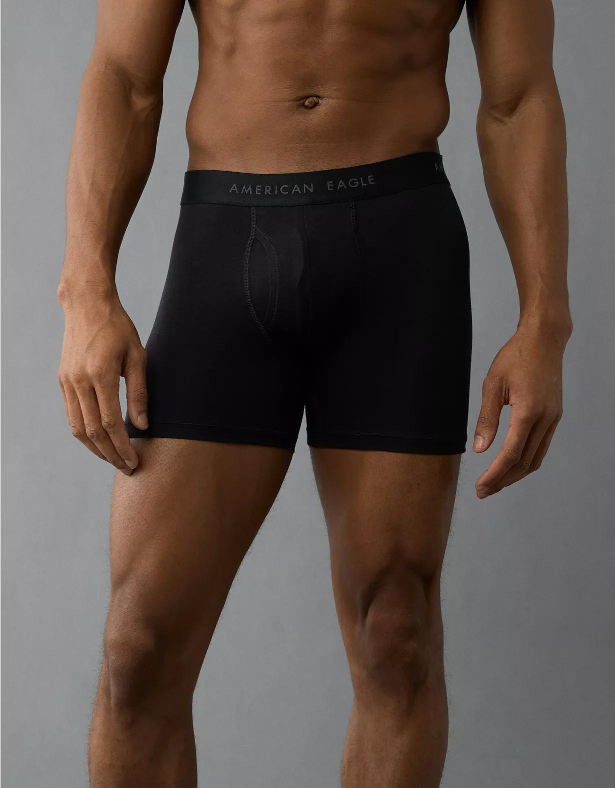 AEO Men's 4.5" Classic Boxer Brief Product Image