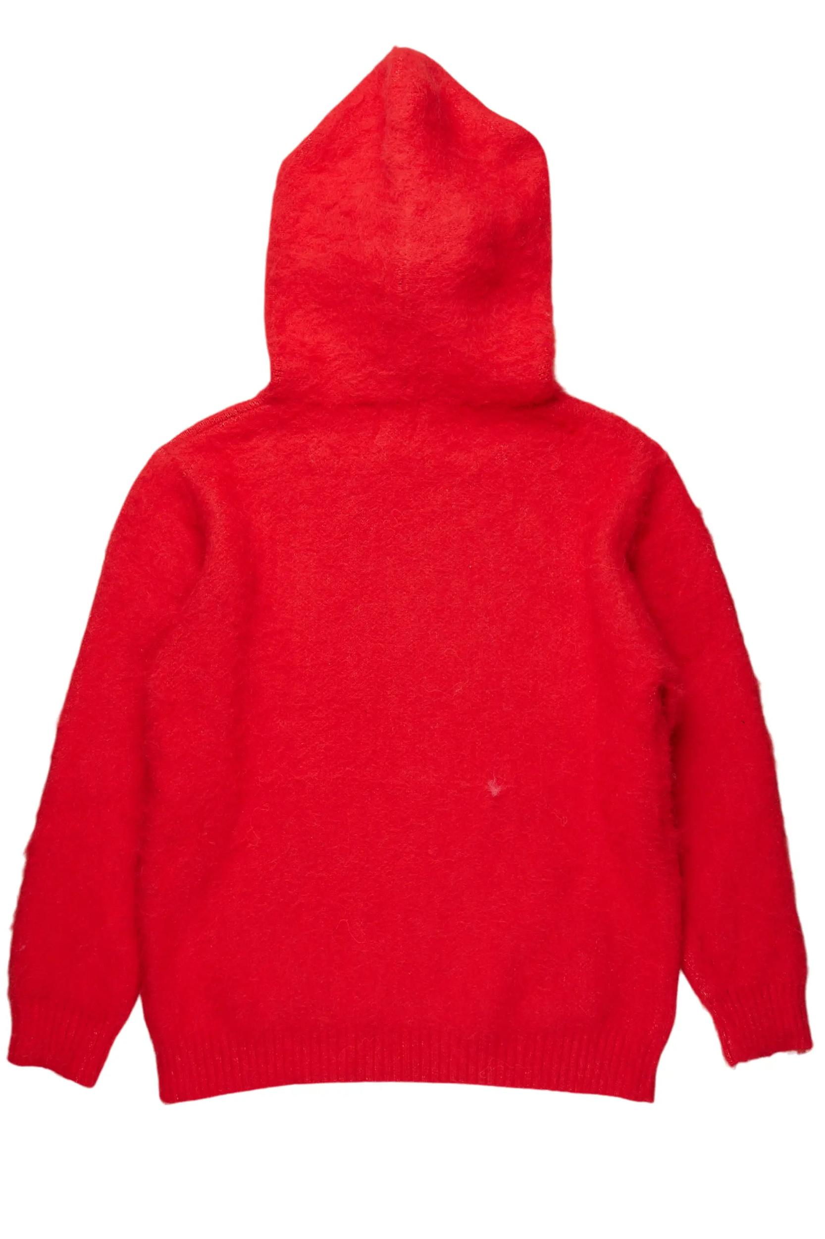 Andreas Red Graphic Knit Hoodie Female Product Image