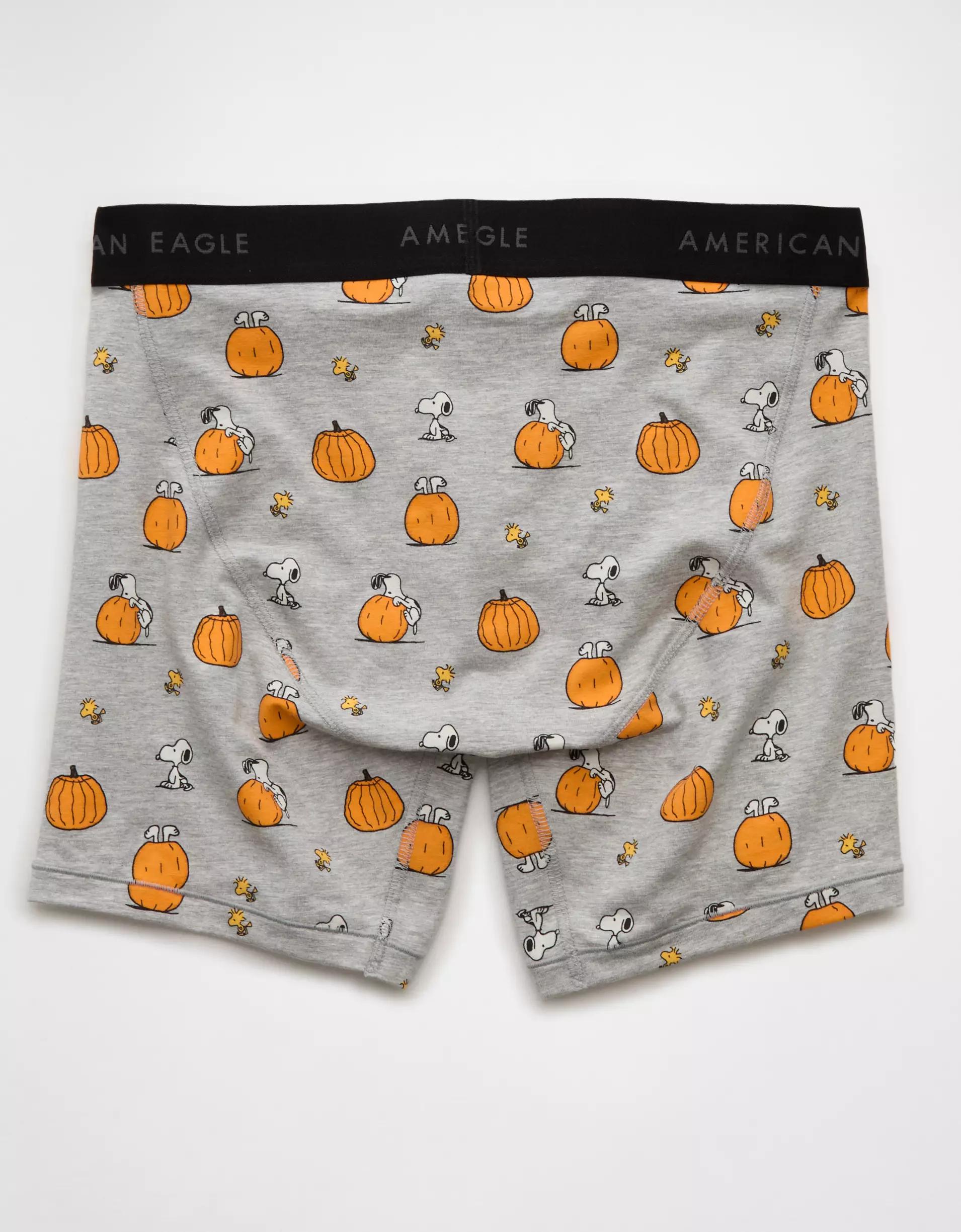 AEO Men's Pizza 6" Classic Boxer Brief Product Image