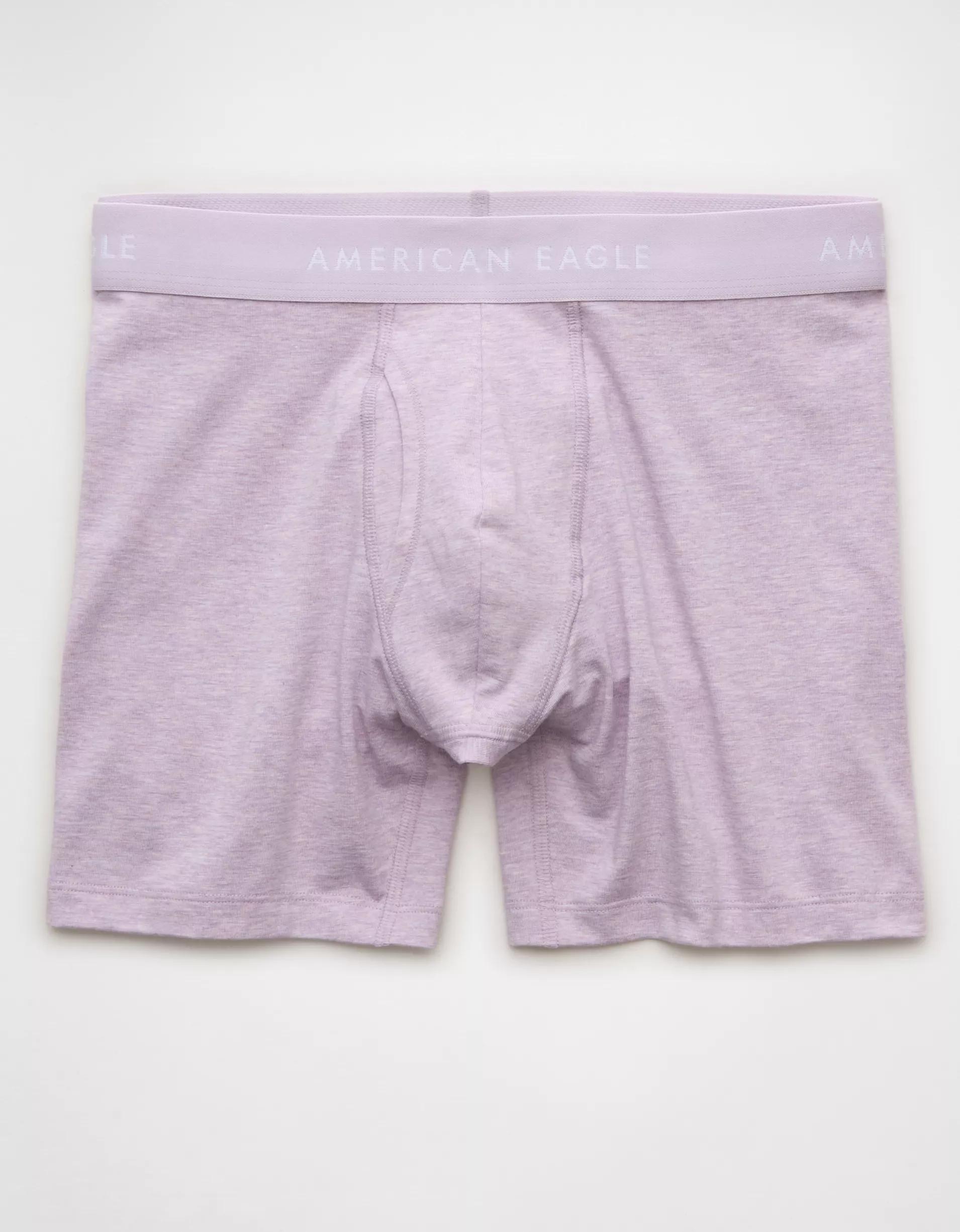 AEO Men's 6" Classic Boxer Brief Product Image
