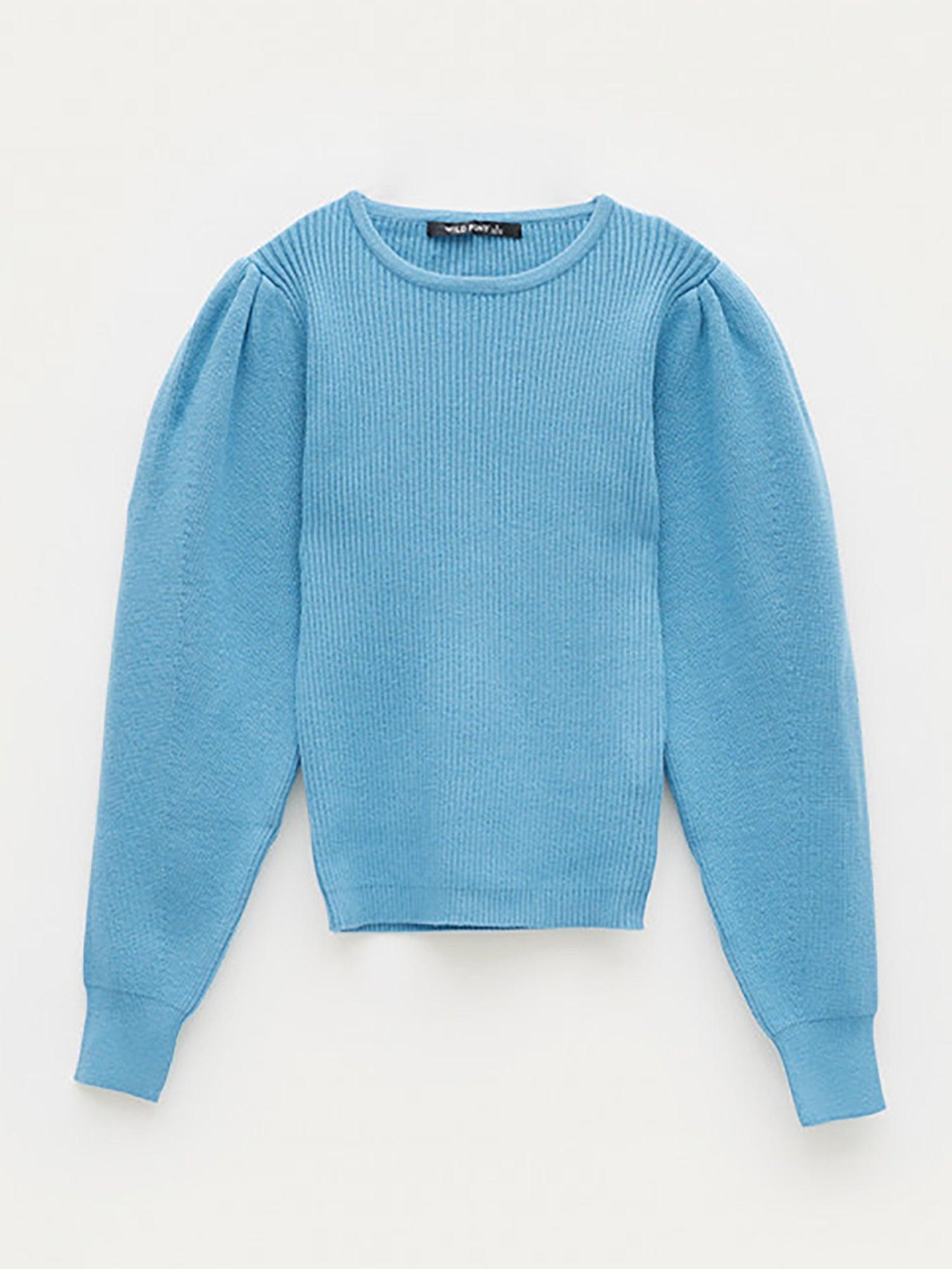 Wild Pony Ribbed Puff Sleeve Top Product Image