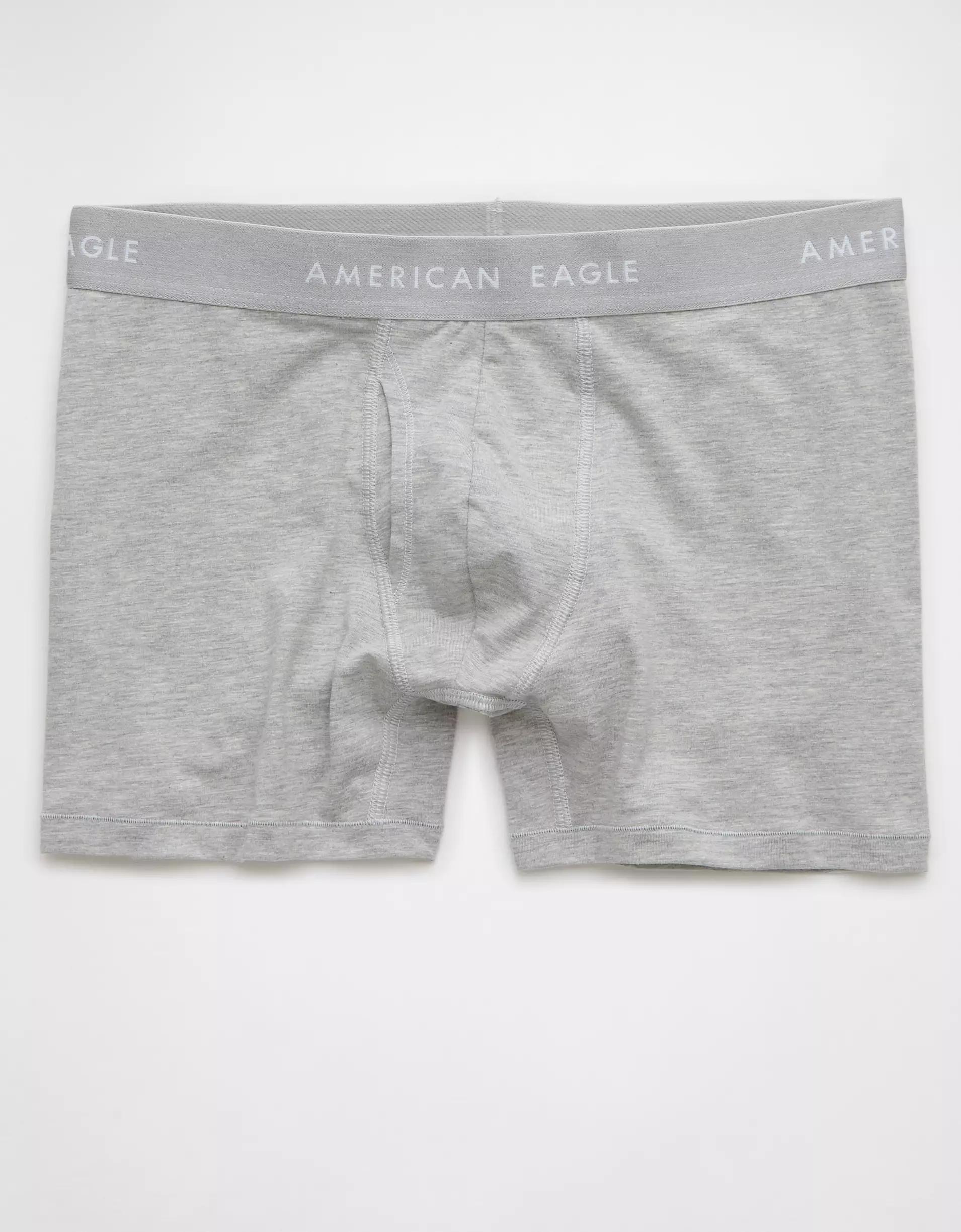 AEO Men's 4.5" Classic Boxer Brief Product Image