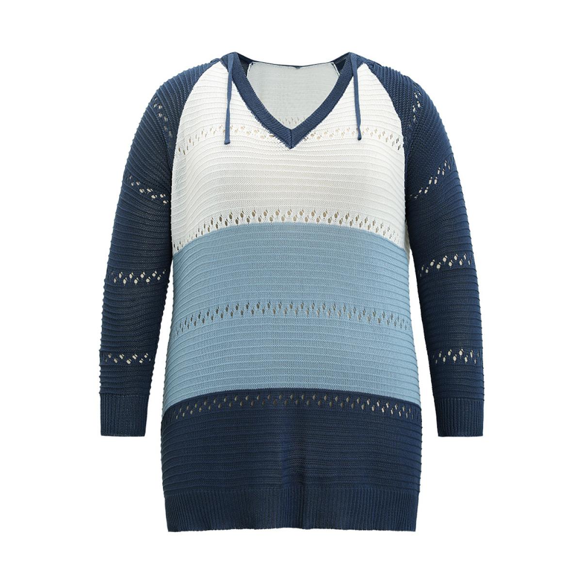 Plus Size Colorblock Hooded Raglan Sleeve Eyelet Pullover Multicolor Women Casual Loose Long Sleeve Dailywear Pullovers BloomChic 14-16/1X Product Image