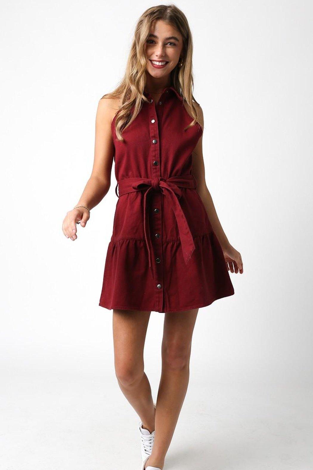 Miah Burgundy Dress Product Image