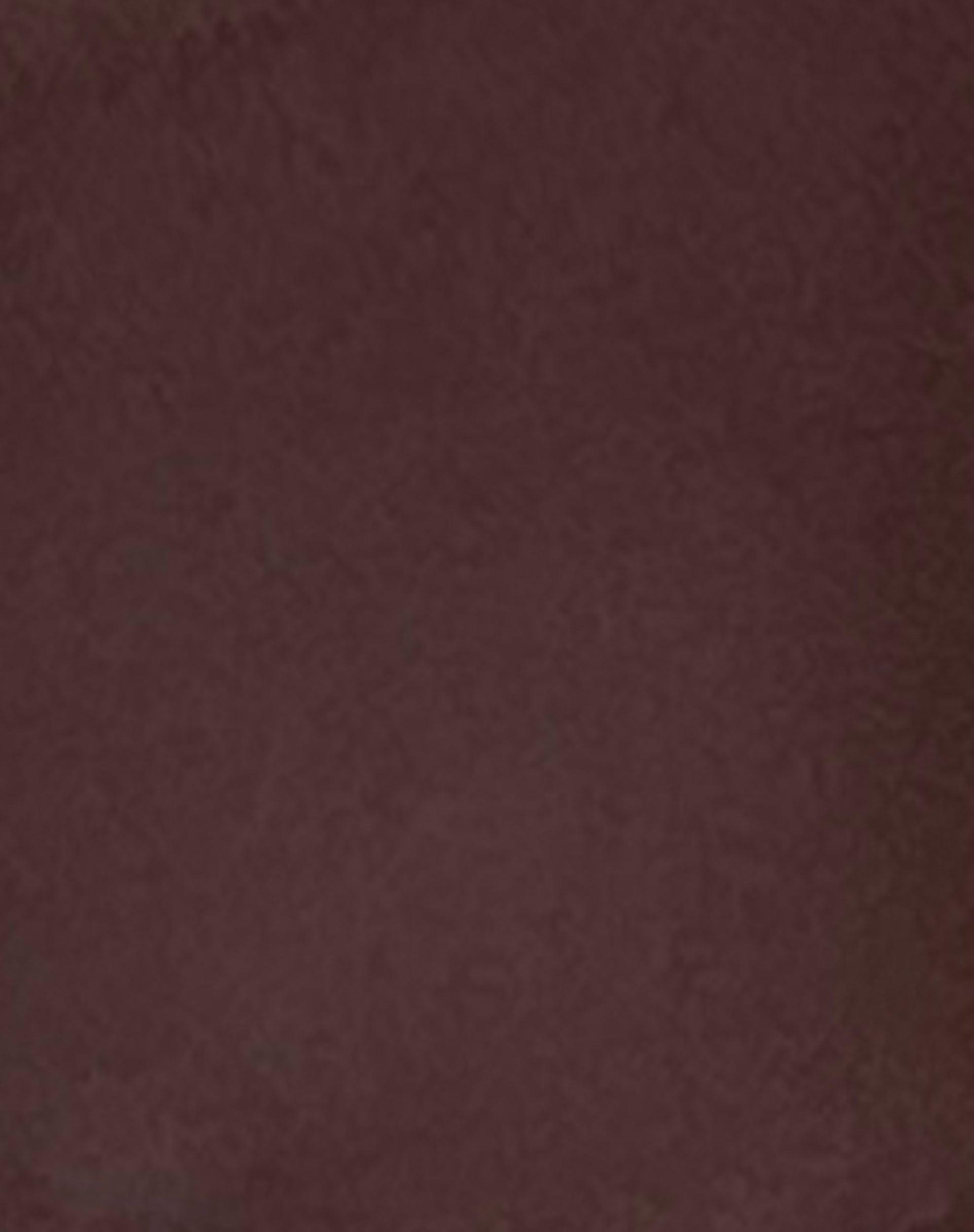 Dolan Bikini Top in Coconut Brown Female Product Image