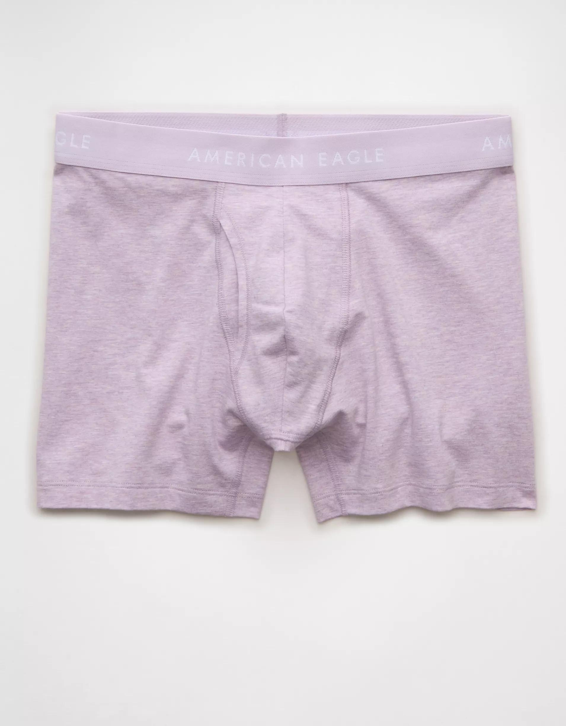 AEO Men's 4.5" Classic Boxer Brief Product Image