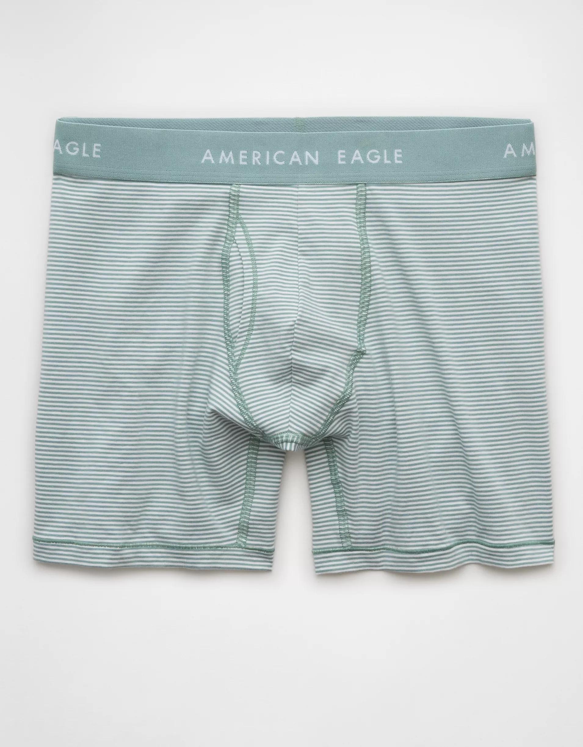 AEO Men's Striped 6" Classic Boxer Brief Product Image