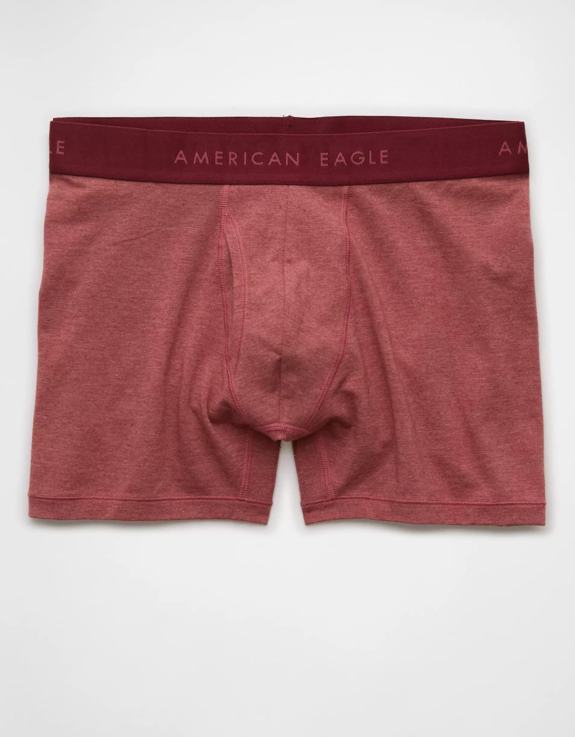 AEO Men's 4.5" Classic Boxer Brief Product Image