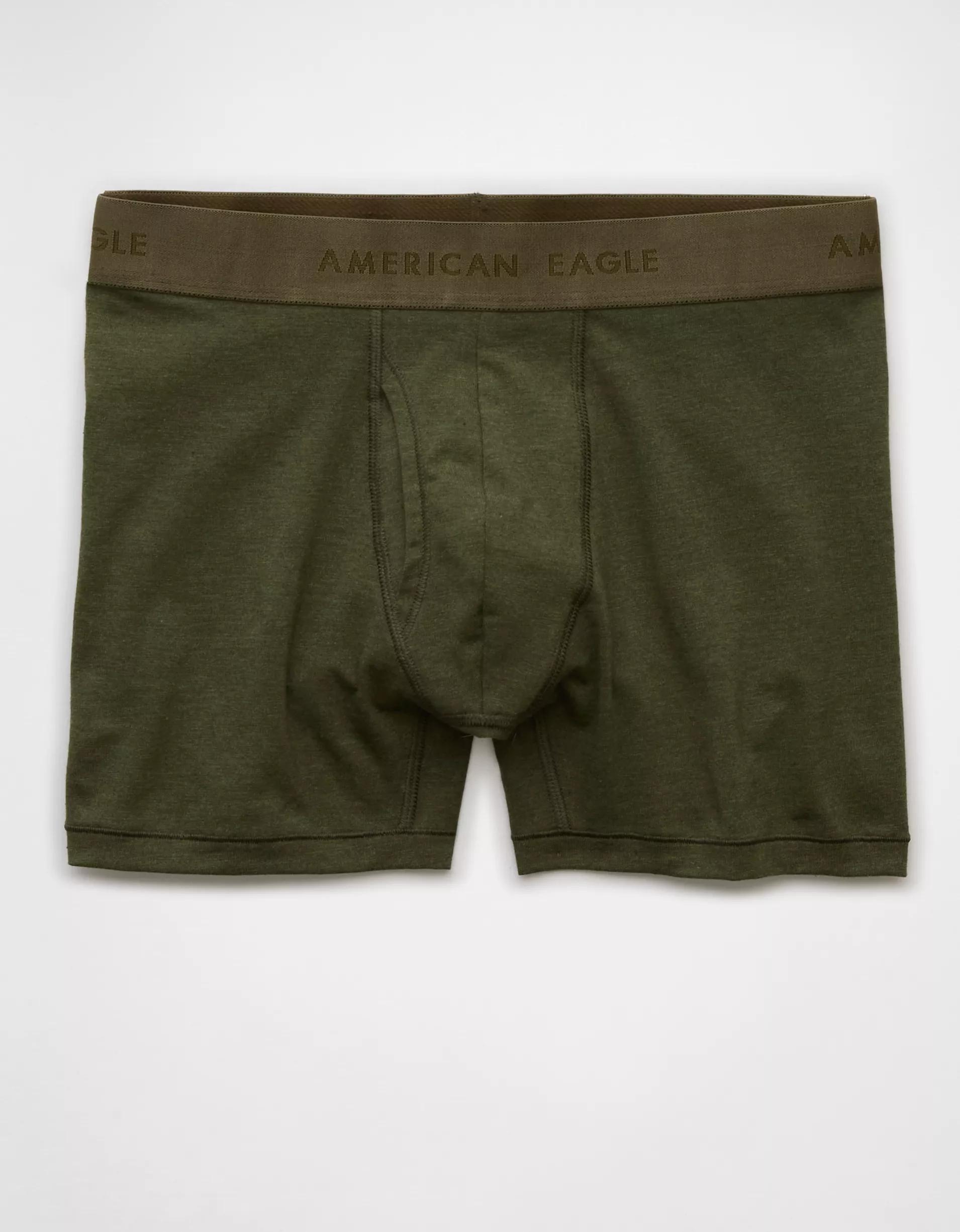 AEO Men's 4.5" Classic Boxer Brief Product Image