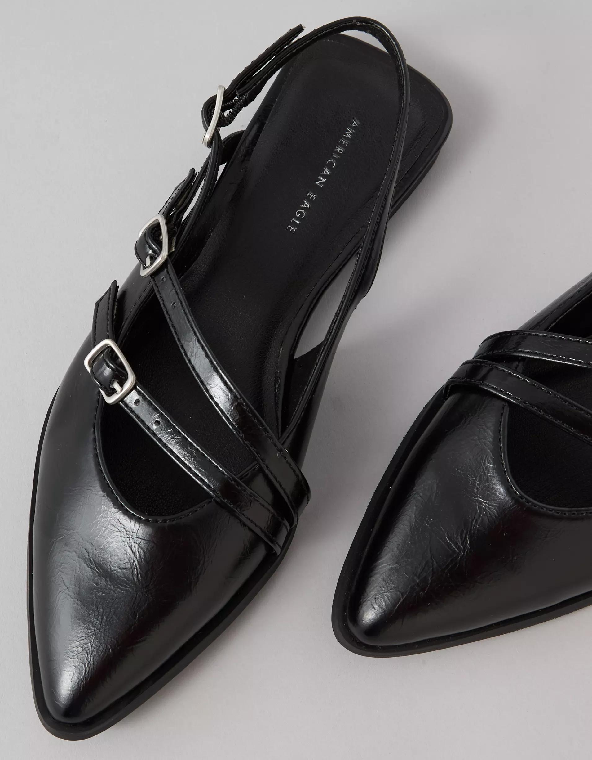 AE Pointed-Toe Flat Product Image