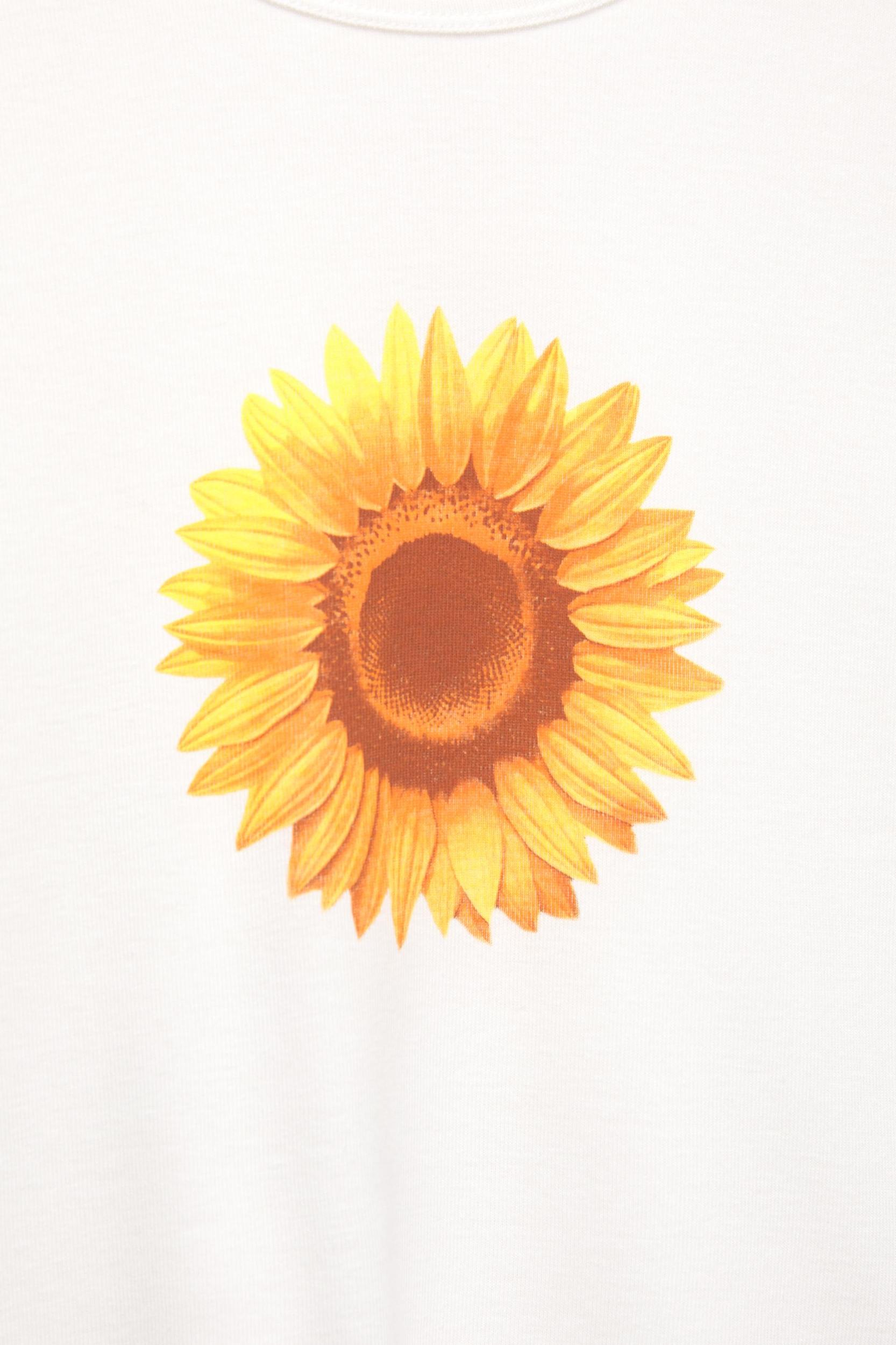 Sunflower fitted T-shirt Product Image