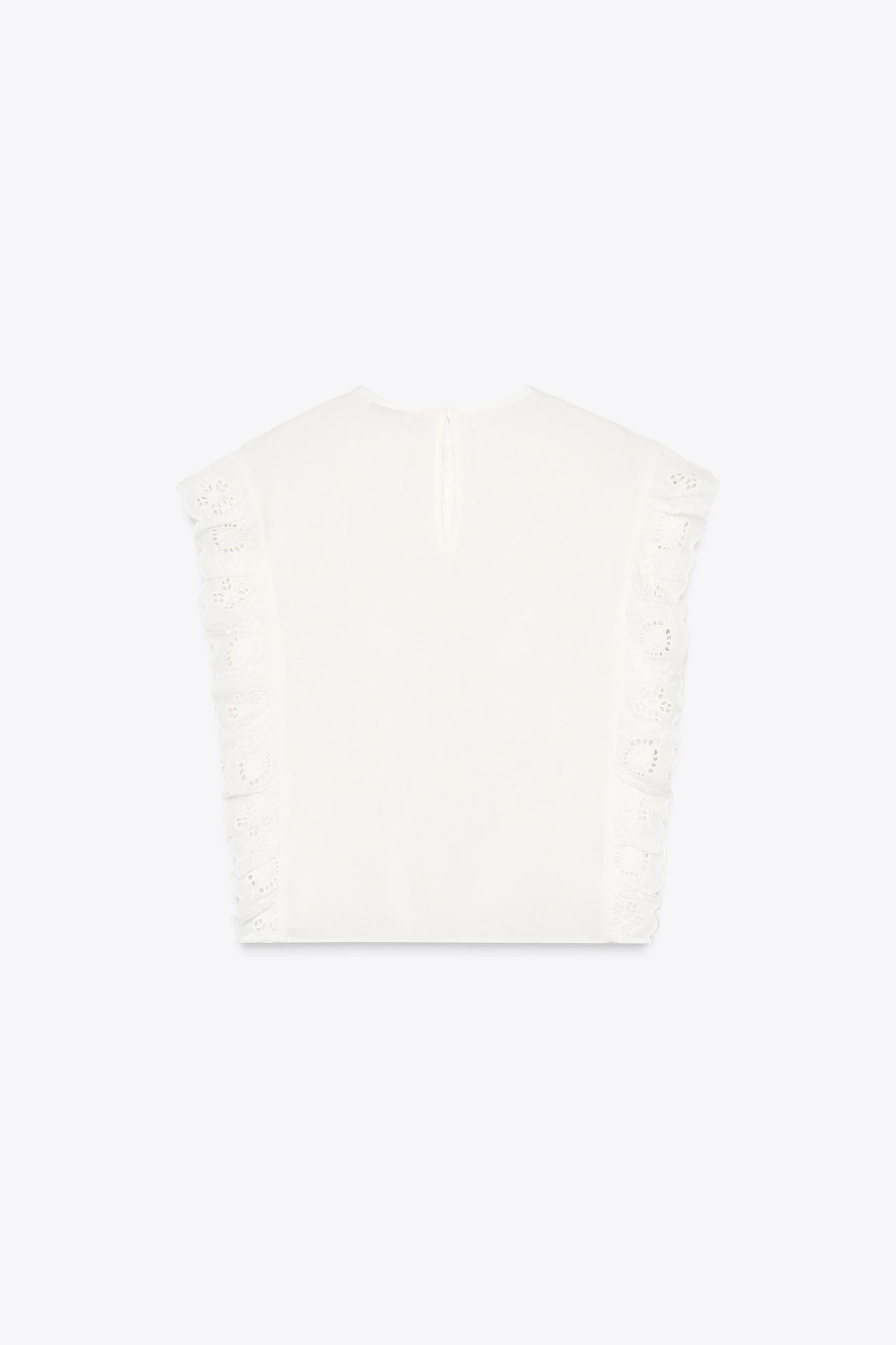 EMBROIDERED ROMANTIC BLOUSE ZW COLLECTION Product Image