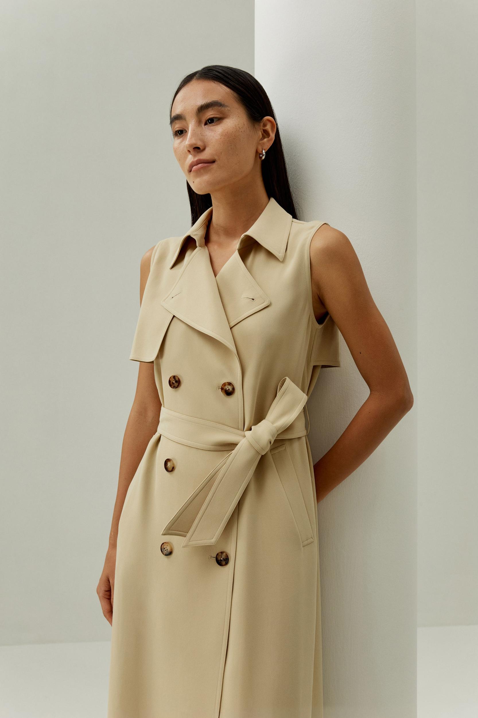 Sophisticated Sleeveless Trench Dress Product Image