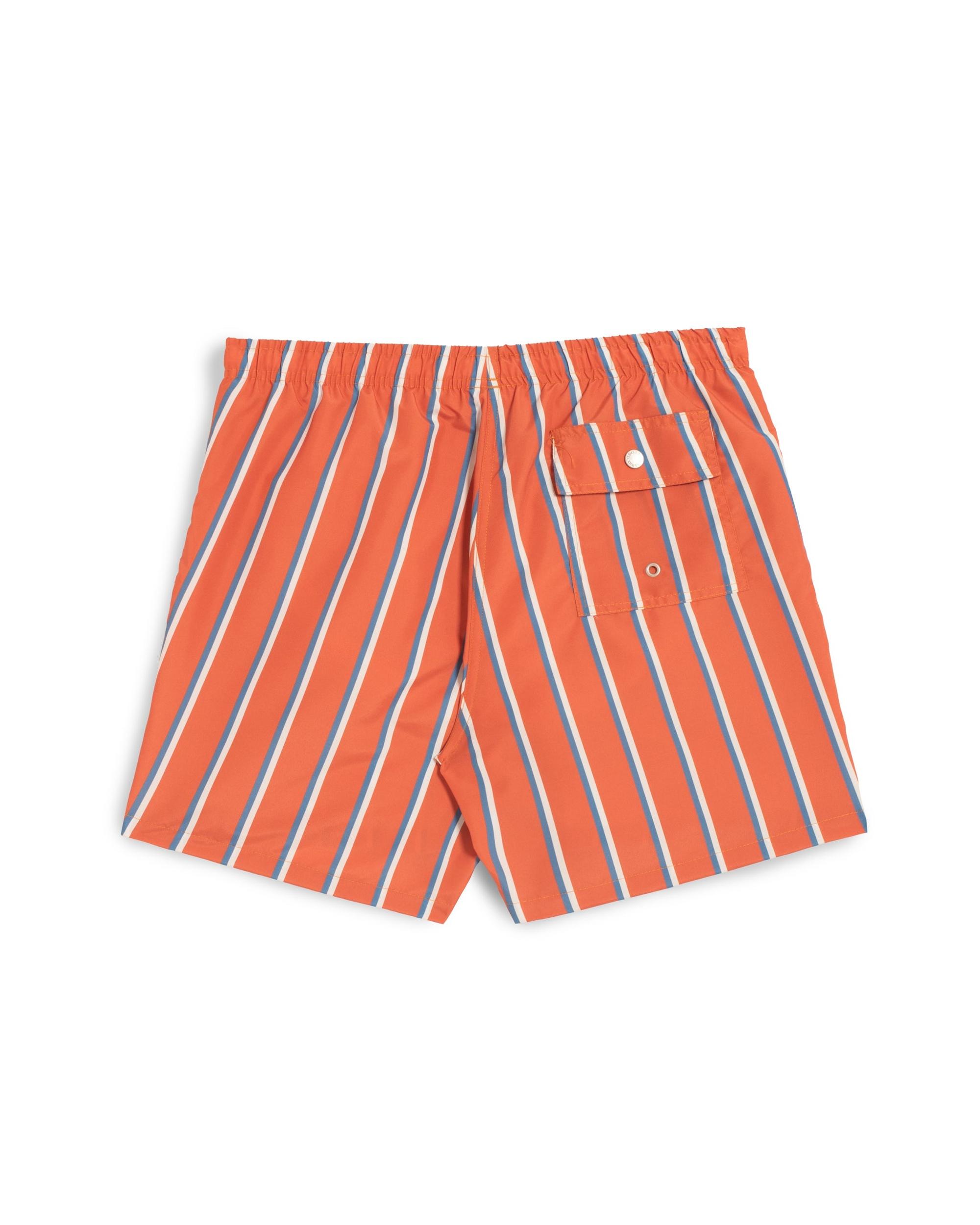 Blue & White Fine Stripe Swim Trunk Product Image