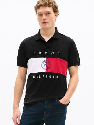 Regular Fit Flag Stripe Polo Product Image