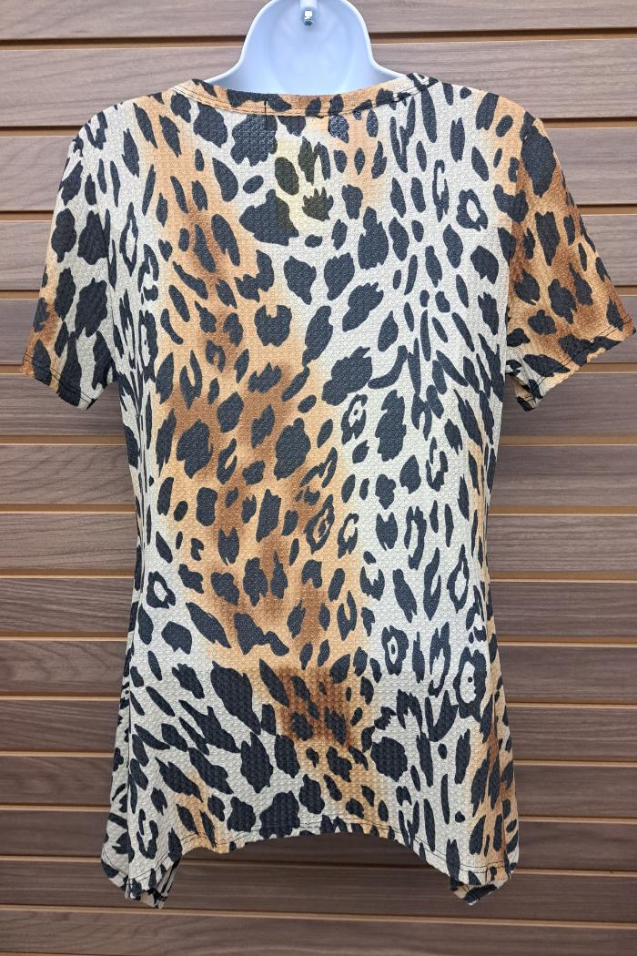 Leopard short sleeve shark bite hem Product Image
