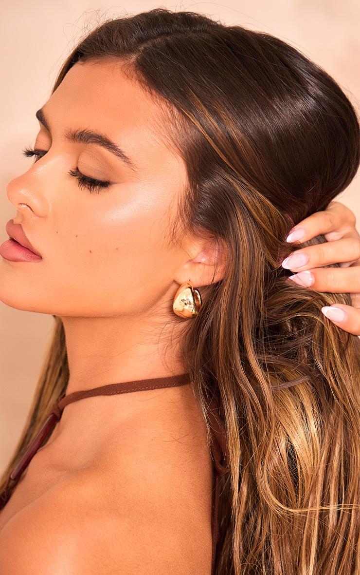 Gold Assorted Chunky Hoop Earrings Multipack Product Image