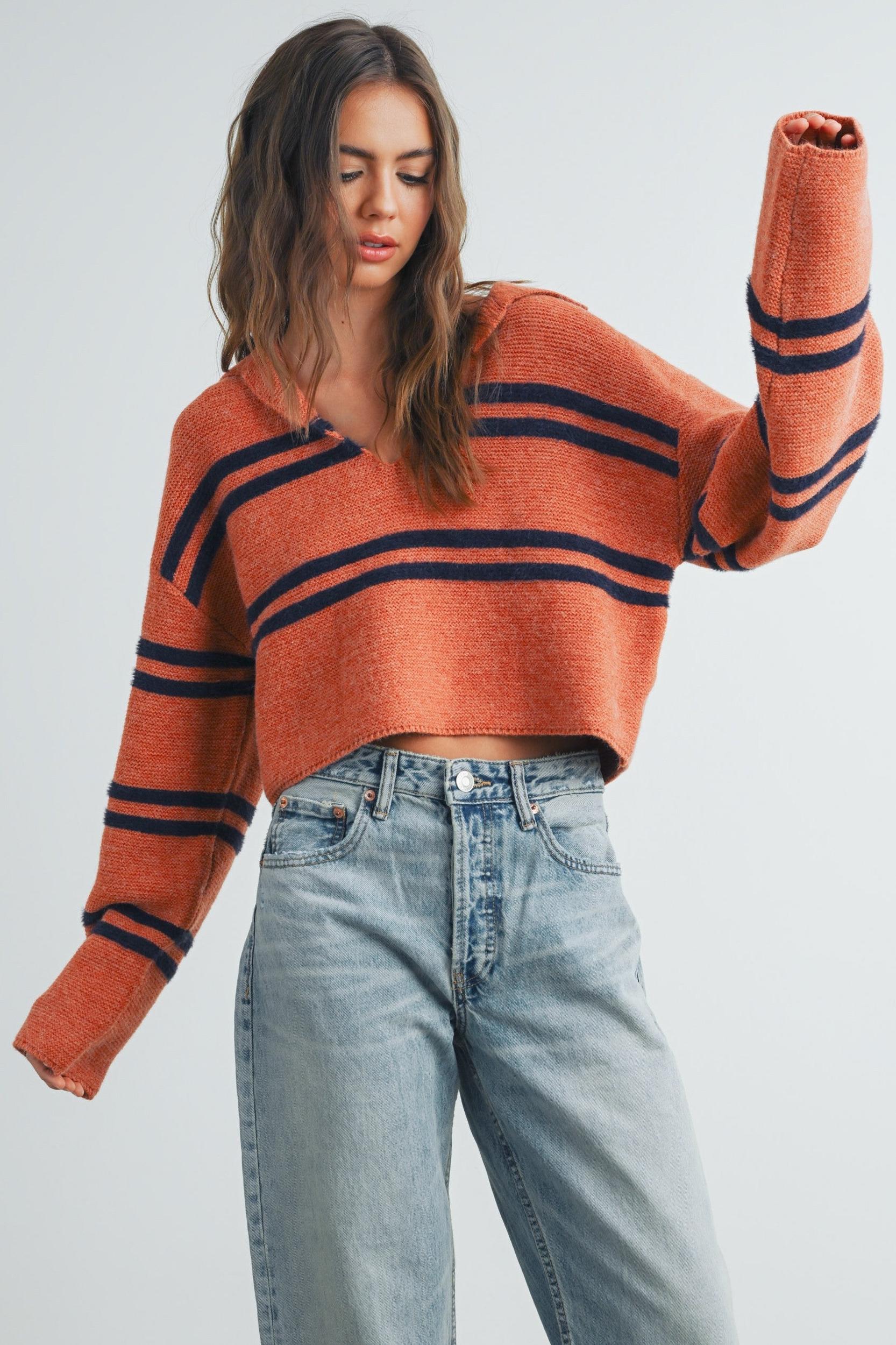 Stripe Cozy Collared Crop Sweater Product Image