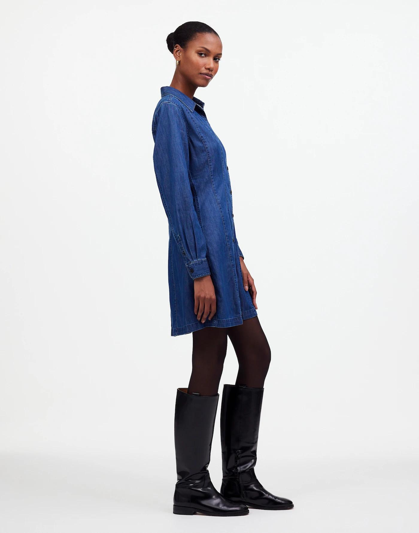 Denim Seamed Mini Dress in Clearfield Wash Product Image