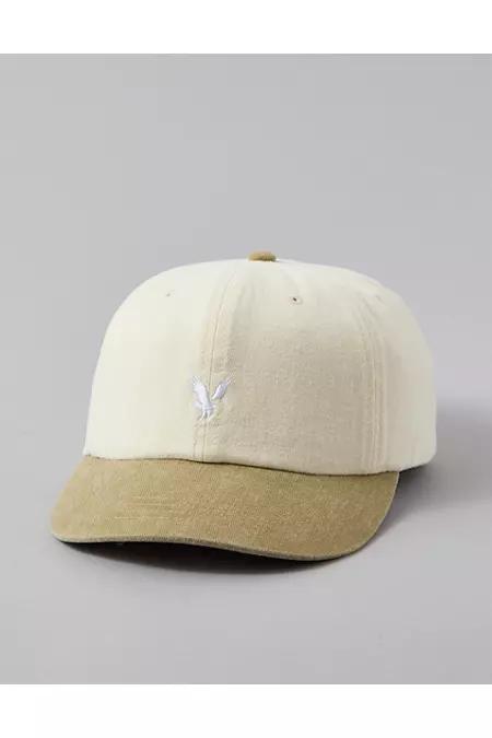 AE Eagle Baseball Hat Men's Product Image