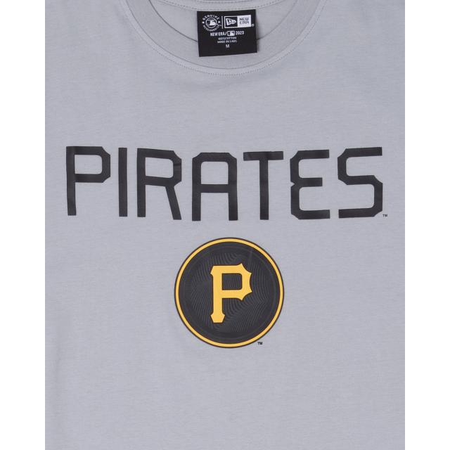 Pittsburgh Pirates City Connect Gray T-Shirt Male Product Image