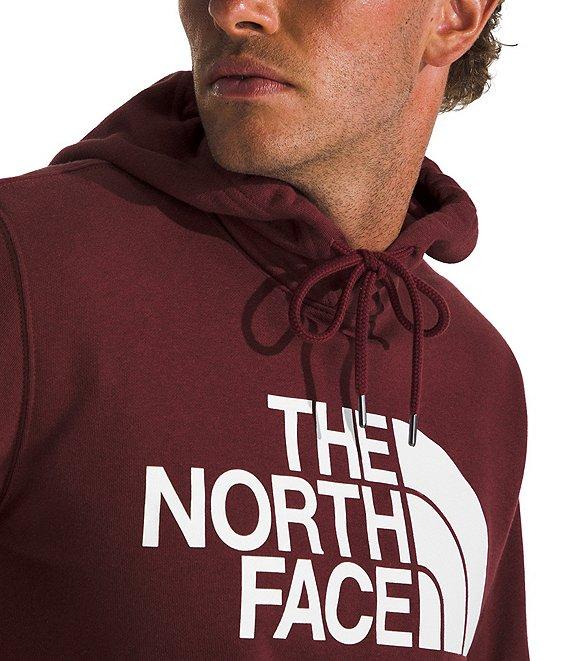 The North Face Half Dome Pullover Graphic Hoodie Product Image