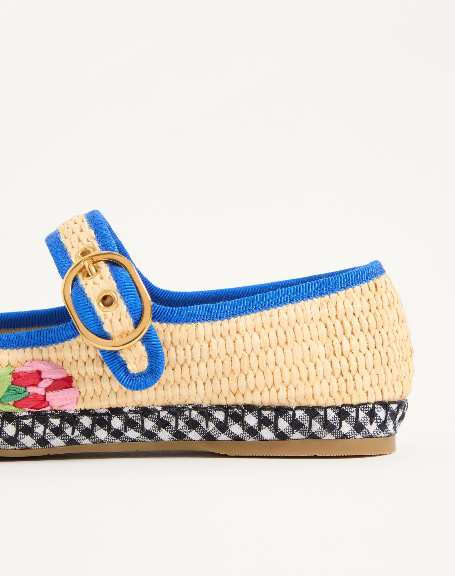 Mary-Jane Endouce Ballerina In Raffia With Floral Embroidery Product Image