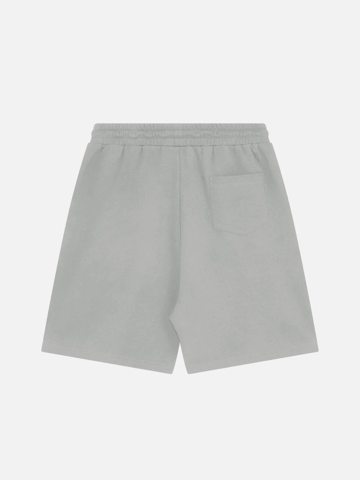 Aelfric Eden Graphic Eden Star Shorts Product Image