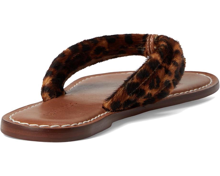 MSRP: $168(25% OFF) Product Image