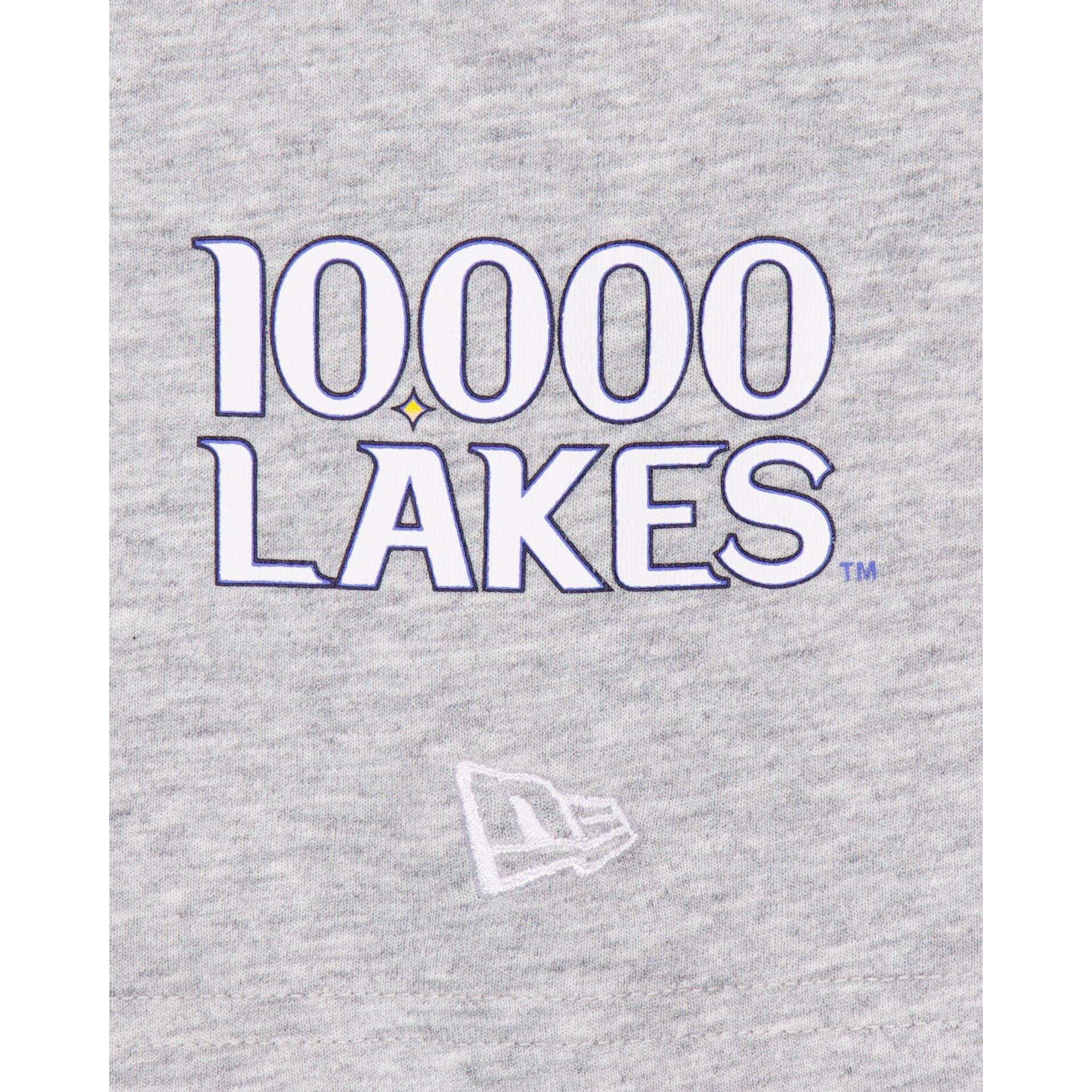 Minnesota Twins City Connect Gray T-Shirt Male Product Image