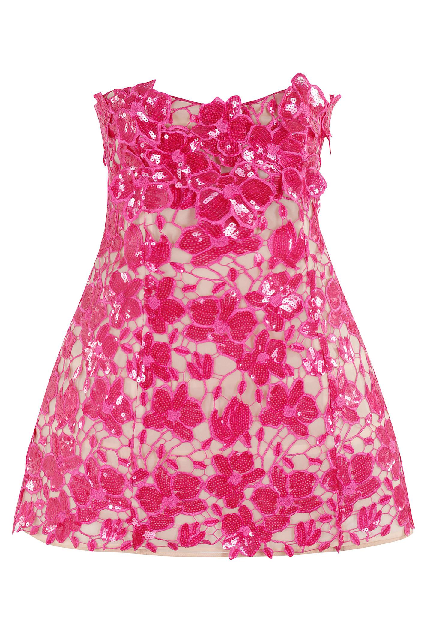 RETROFÉTE Alira Strapless Sequined Lace Mini Dress In Pink Product Image