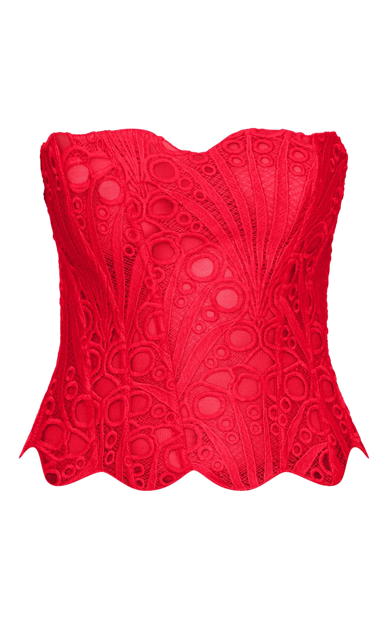Red Textured Sheer Floral Lace Corset Product Image