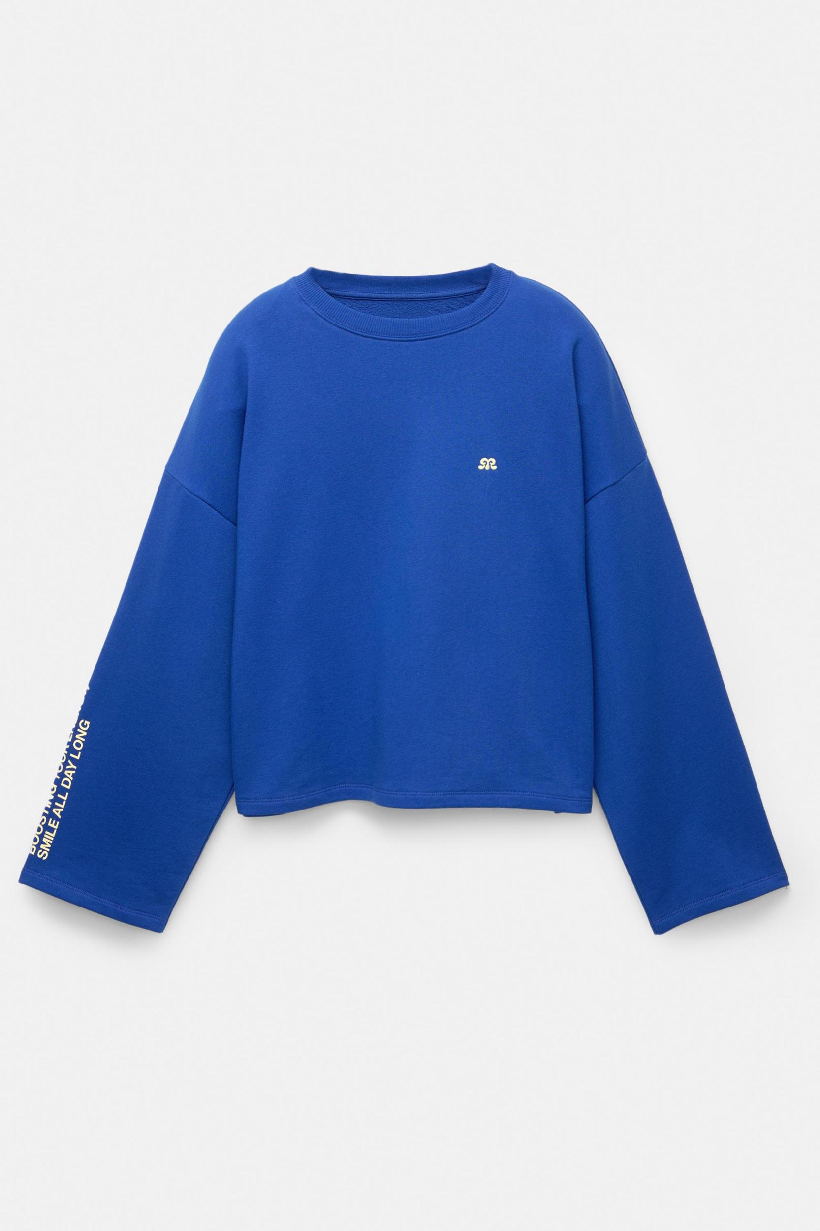 Embroidered blue sweatshirt Product Image